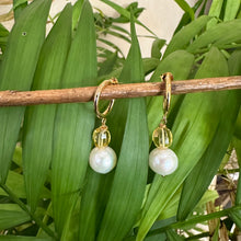 Lade das Bild in den Galerie-Viewer, Edison White Pearls and Citrine Hoop Earrings, Gold Vermeil Plated Silver
