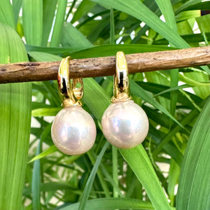 Light golden pink Edison pearl drop earrings with 13mm pearls on gold vermeil-plated silver huggie hoops, perfect for a June birthday or elegant gift.