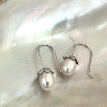 Charger l&#39;image dans la galerie, Freshwater White Rice Pearl Tulip Drop Earrings, Gold Vermeil or Silver Hooks, AAA+ Real White Pearl Dangle Earrings
