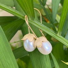 Charger l&#39;image dans la galerie, Freshwater White Rice Pearl Tulip Drop Earrings, Gold Vermeil or Silver Hooks, AAA+ Real White Pearl Dangle Earrings
